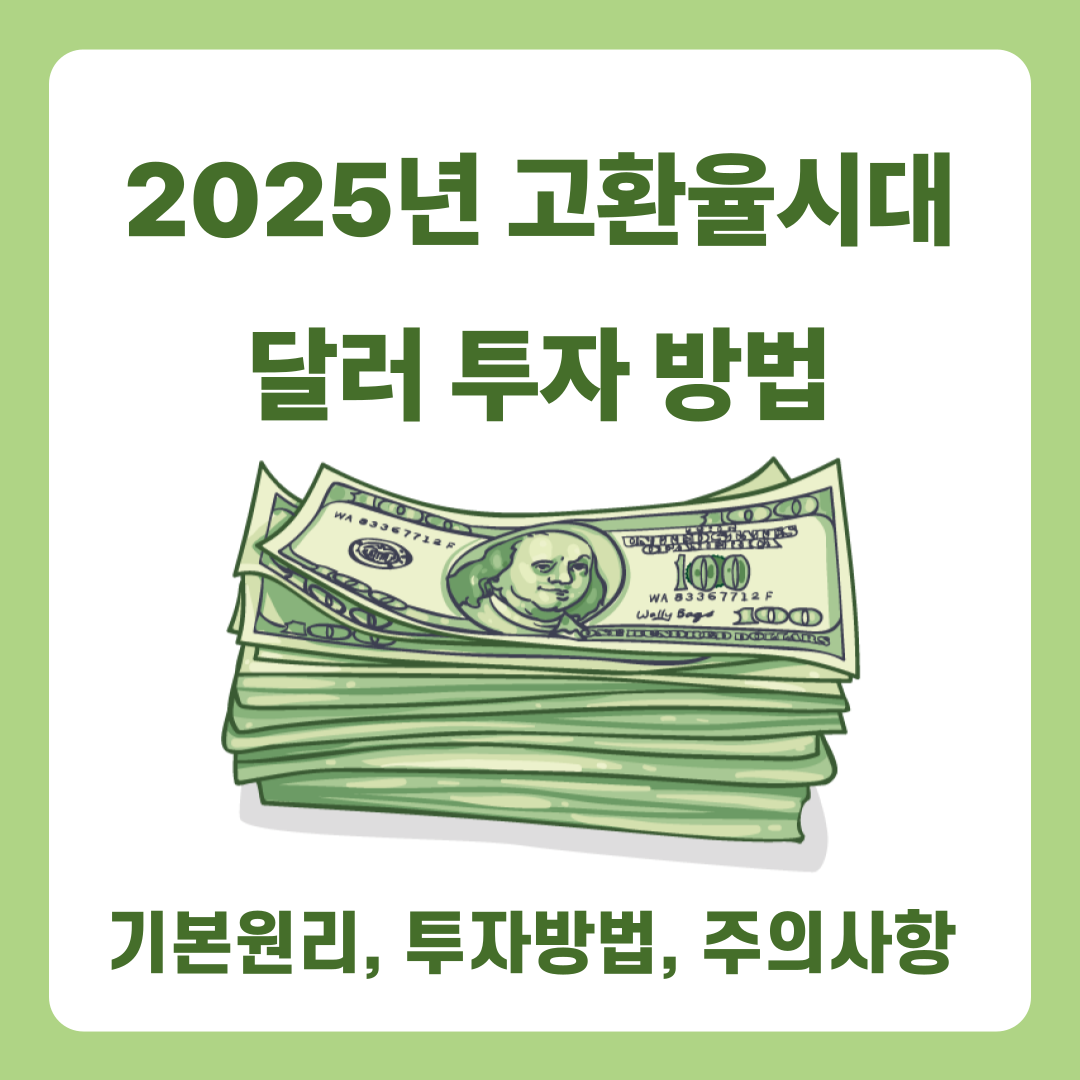 2025년 고환율시대 달러 투자 방법(기본원리, 투자방법, 주의사항)