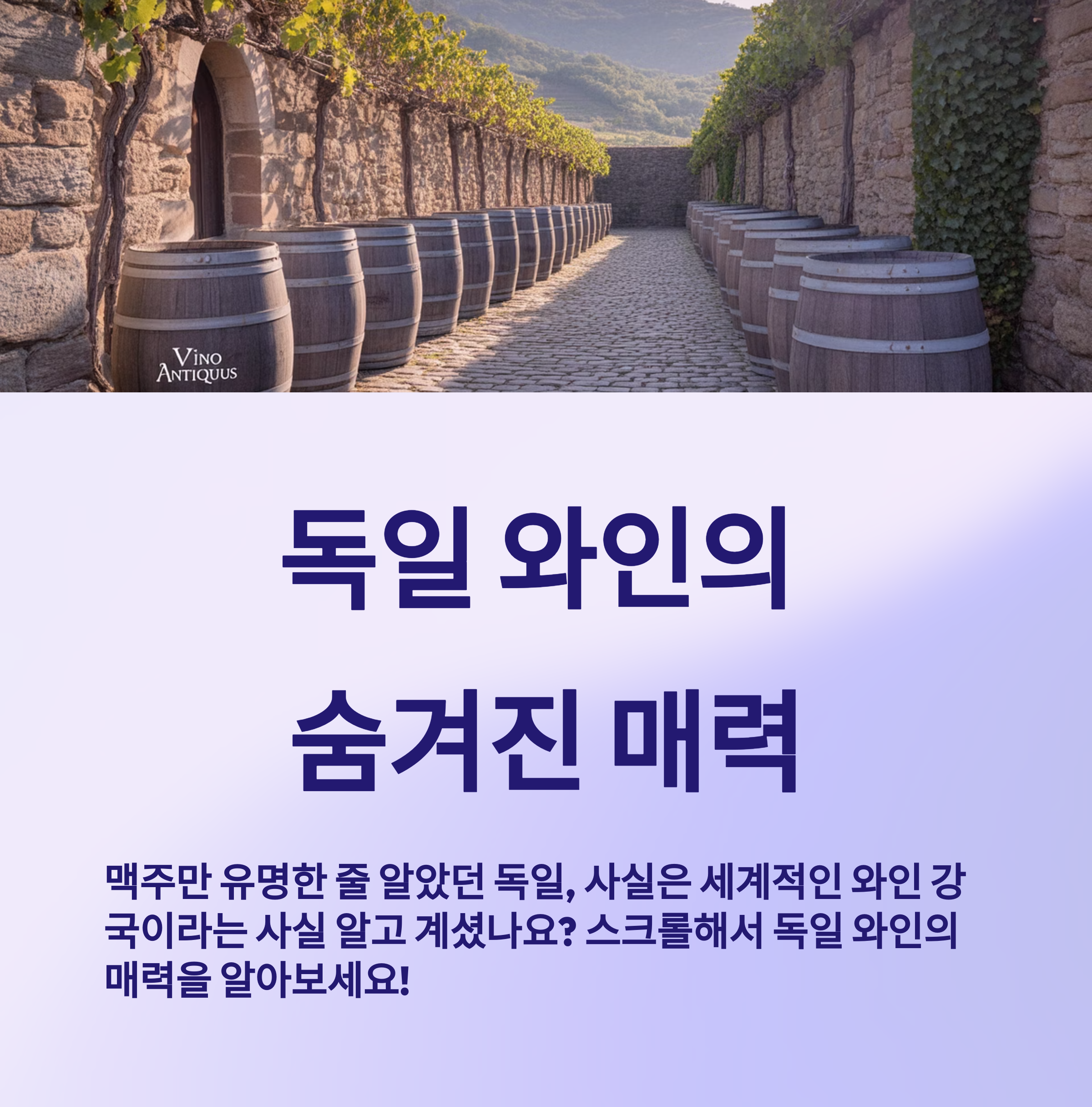 독일 와인의 숨겨진 매력