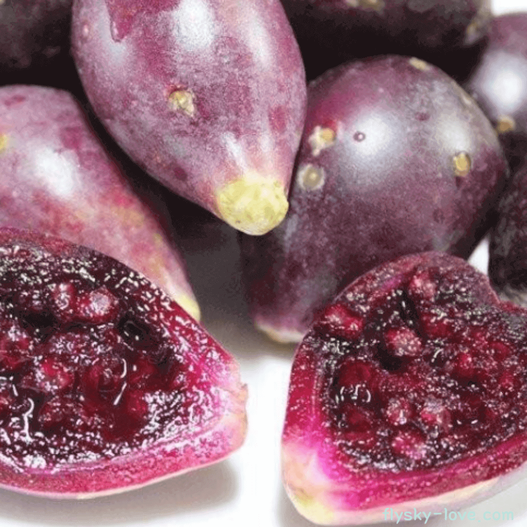 선인장 열매 백년초