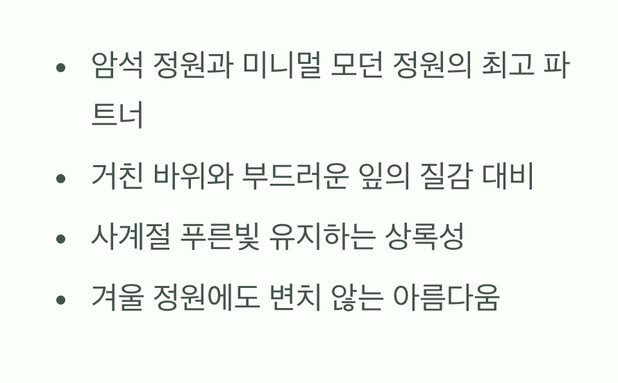 활용법 넷, 모던 정원의 세련된 질감 더하기