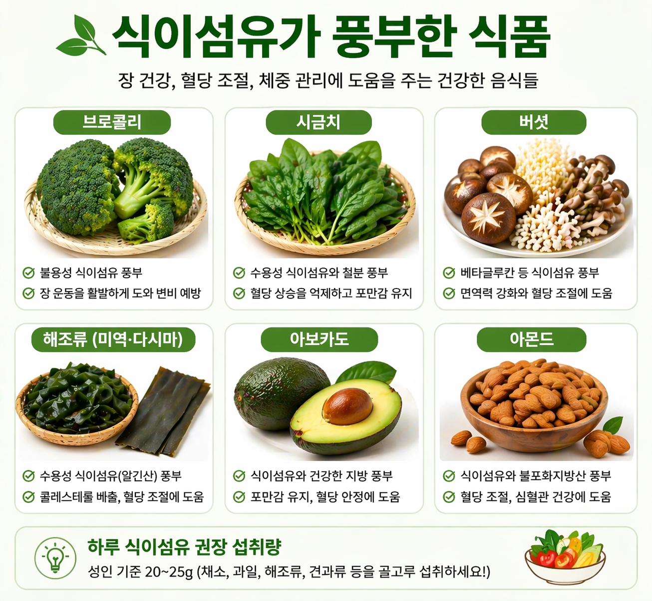 식이섬유가 풍부한 음식 인포그래픽 브로콜리 시금치 버섯 해조류 아보카도 아몬드