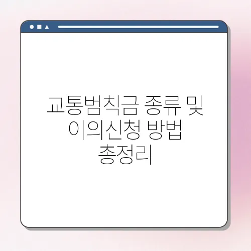 교통범칙금 종류 및 이의신청 방법 총정리