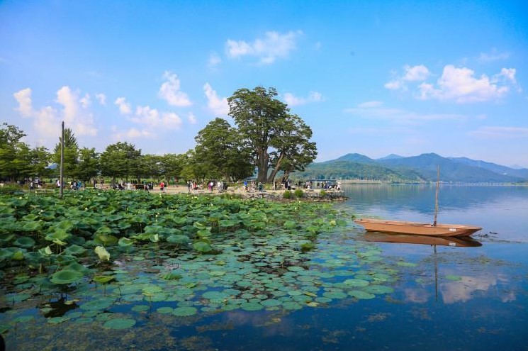 경기도 봄꽃구경