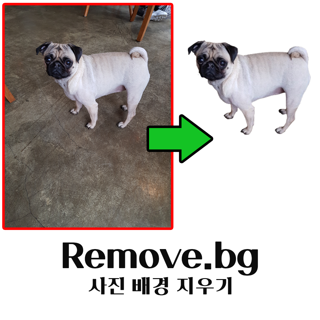 Remove.bg 사진 배경 지우기 (ChatGPT, Canva 연계 사용법 가이드)