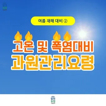 여름 고온기 관리 차광망 환기 관수 병해 예방 루틴_14