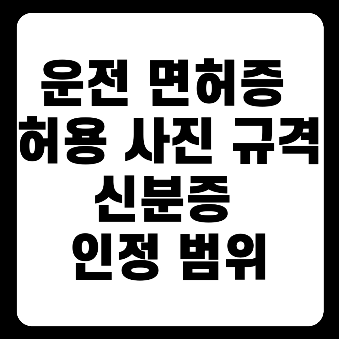 운전 면허증 허용 사진 규격 및 신분증 인정 범위(+2024)