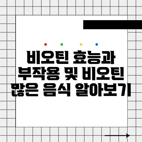 비오틴 효능과 부작용 및 비오틴 많은 음식 알아보기