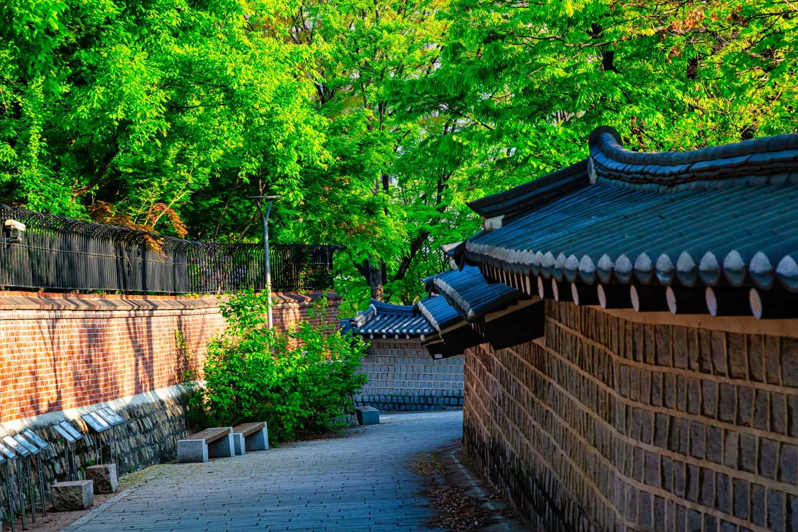 서울 덕수궁 돌담길