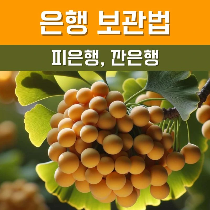 은행 보관법