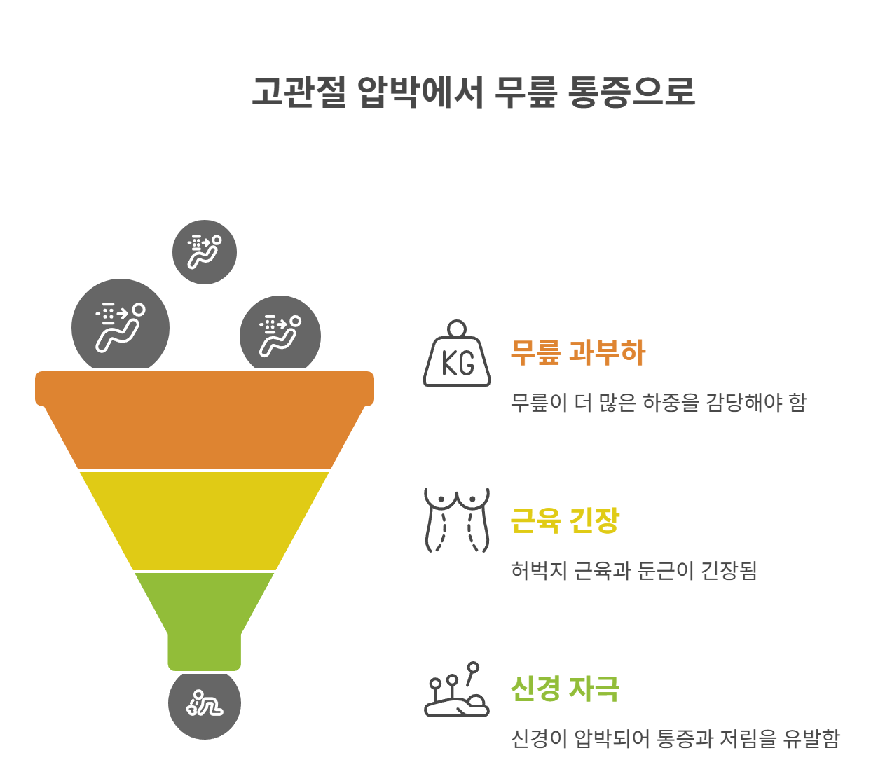 고관절 압박이 무릎 통증으로 이어지는 메커니즘