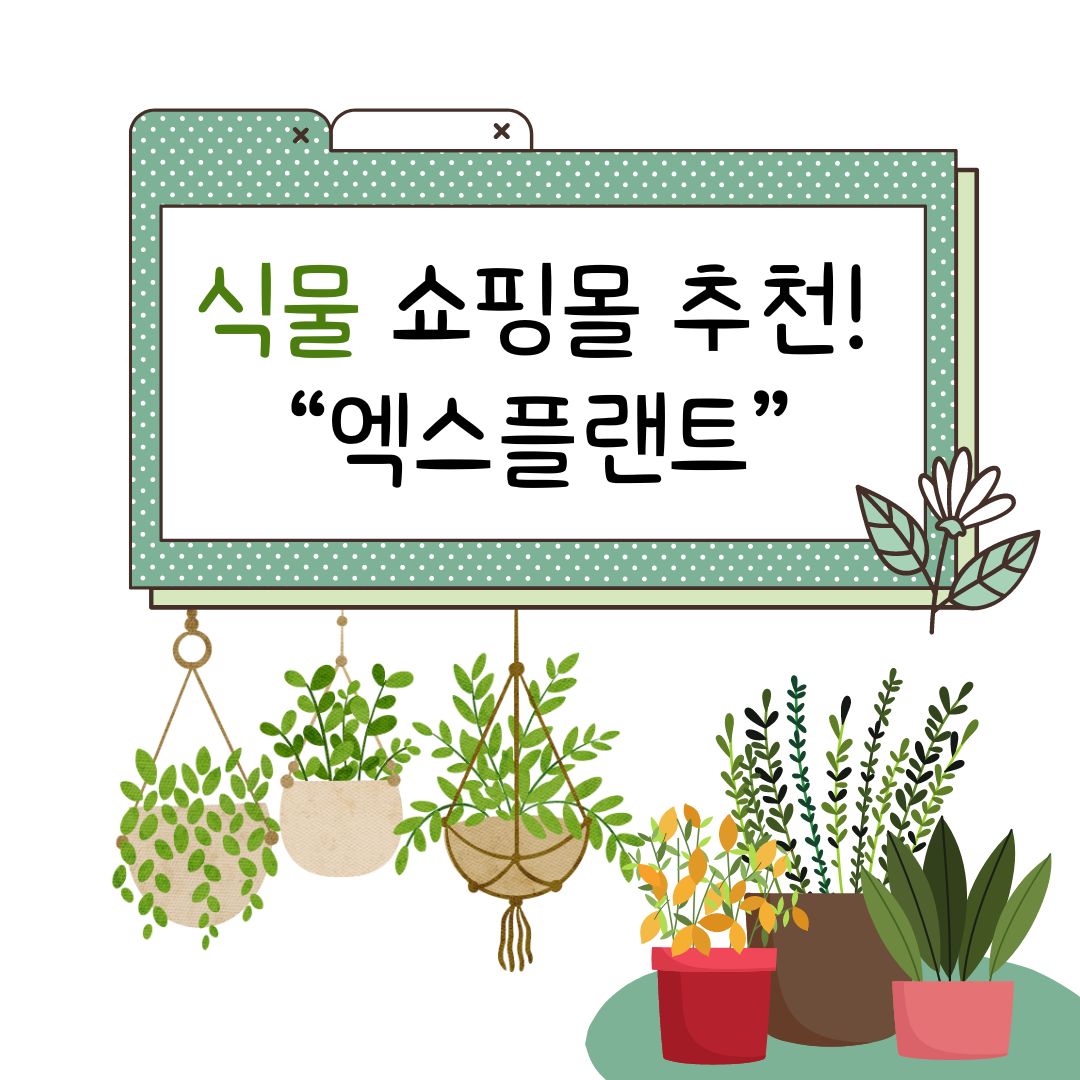 식물 쇼핑몰 추천