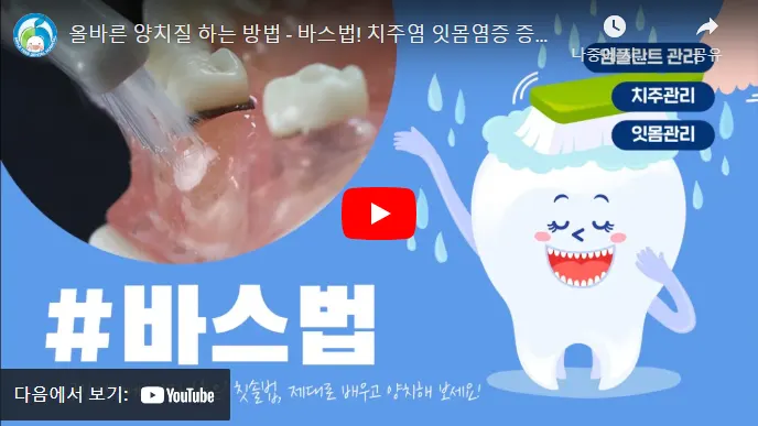 바스법 칫솔질