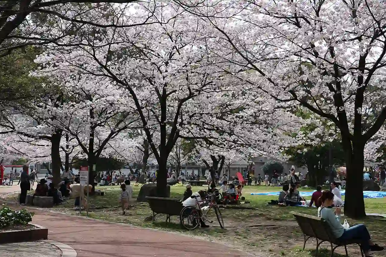 스미요시 공원 (住吉公園)