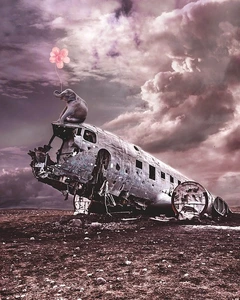 제주항공 여객기 추락 사고