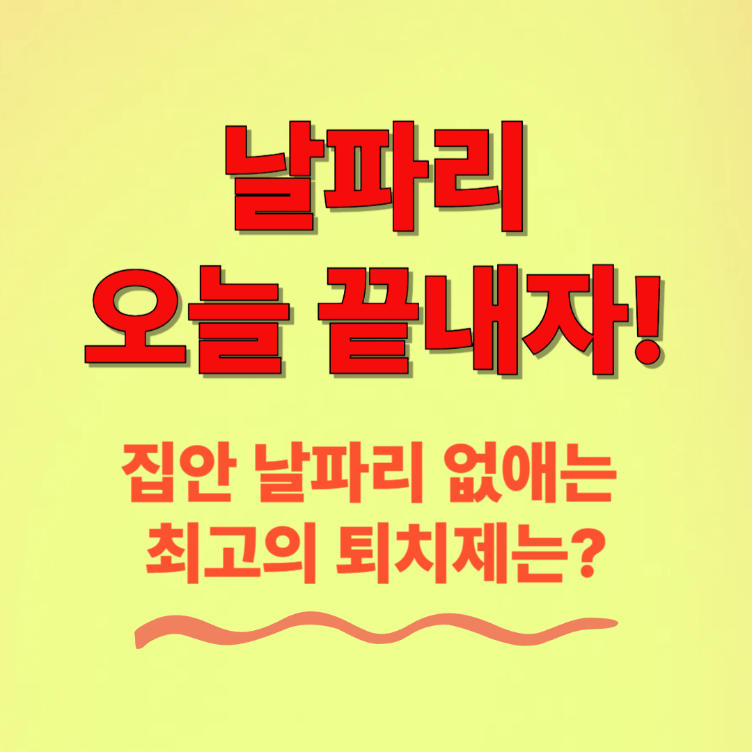 집안 날파리 없애는 최고의 퇴치제는?