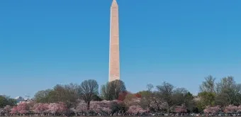 미국 워싱턴 DC 위치 지도와 여행 명소를 소개_20