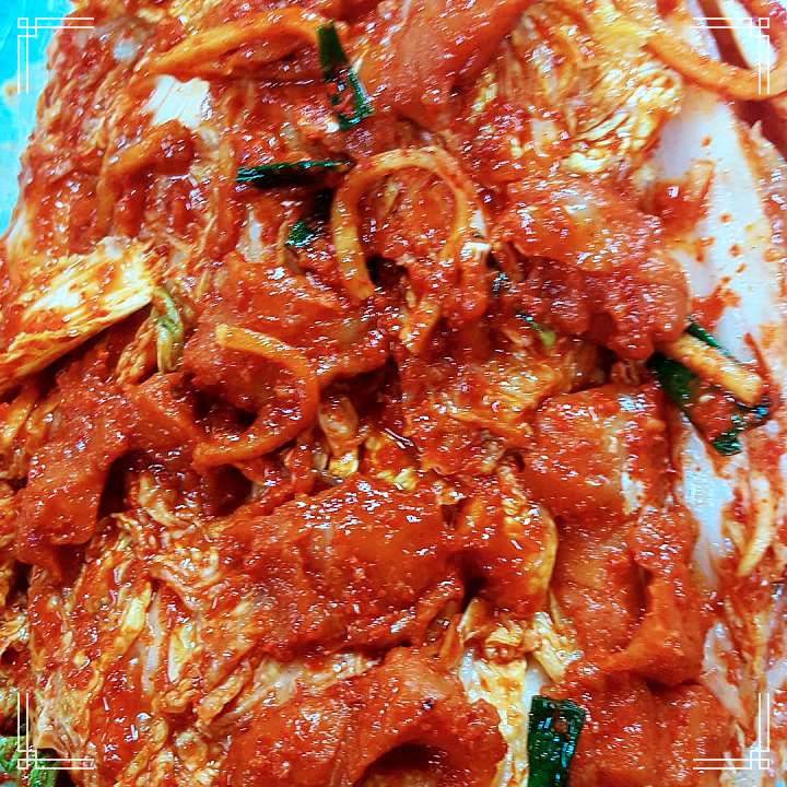 이만기 동네한바퀴 강원도 명태김치 전국택배 전화 온라인 주문 양양식 명태 김치 강원 양양 맛집 소개