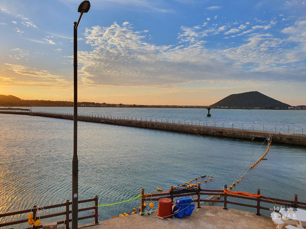 카페더씨 가는길