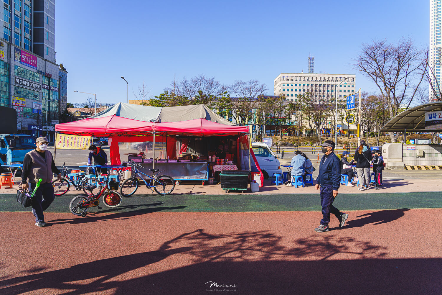 중앙공원 애견운동장
