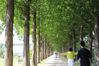 공주 가볼만한곳 베스트10 현지인 추천 필수코스_19