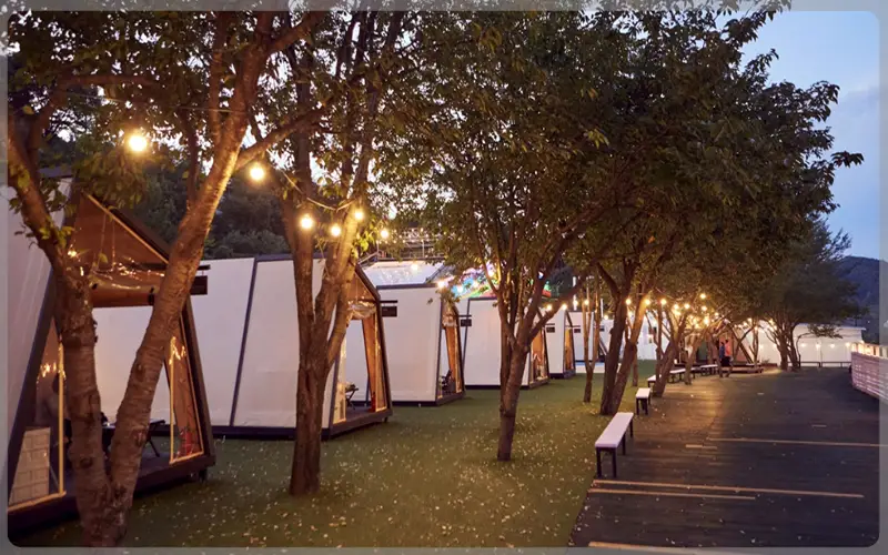 청도 프로방스 빛축제_8