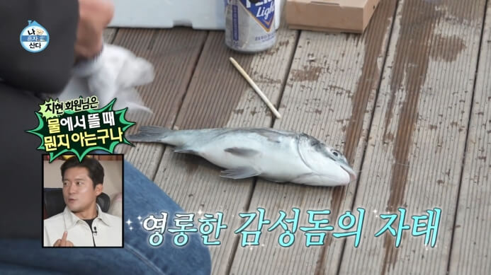 감성돔