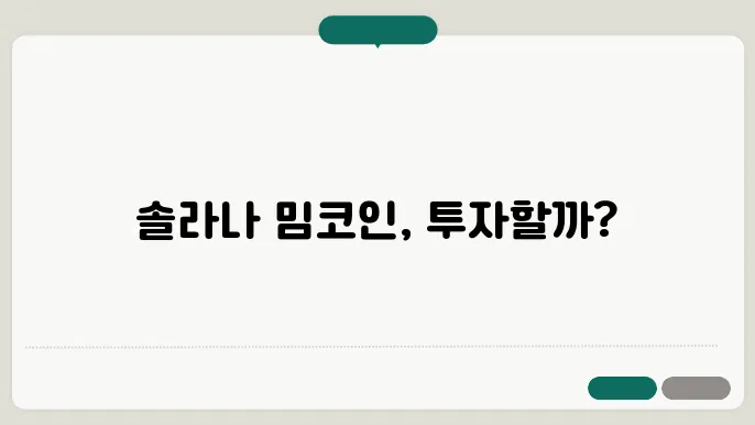 솔라나 코외 밈코인 전망 확인