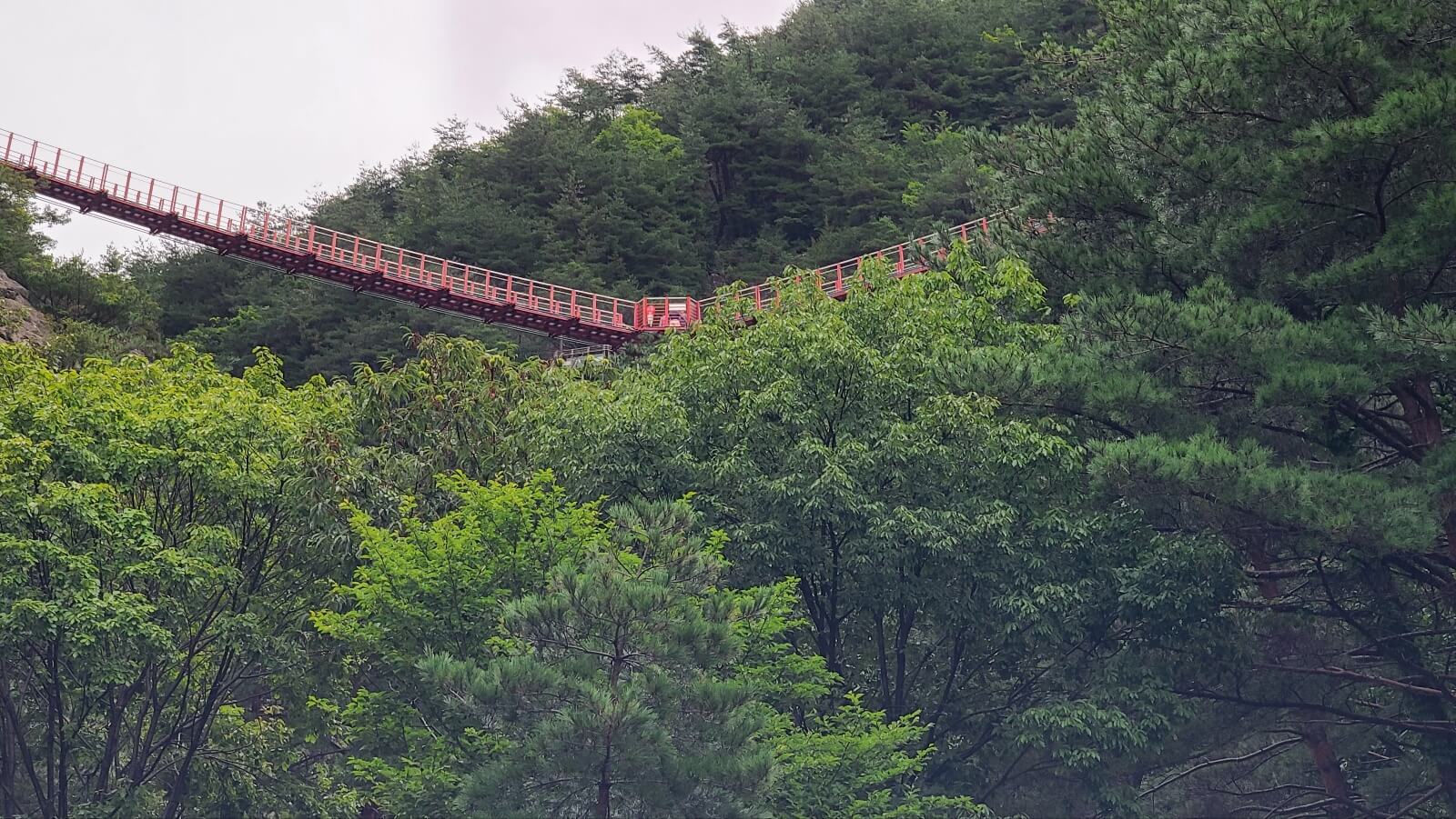 출렁다리