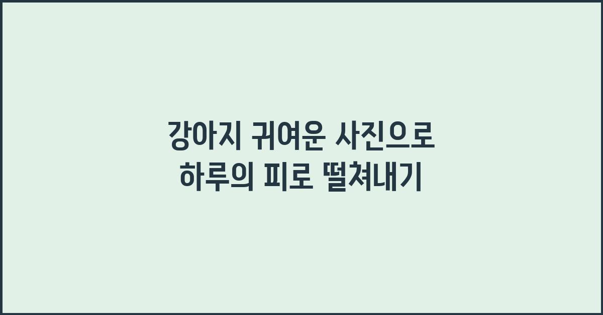 강아지 귀여운 사진
