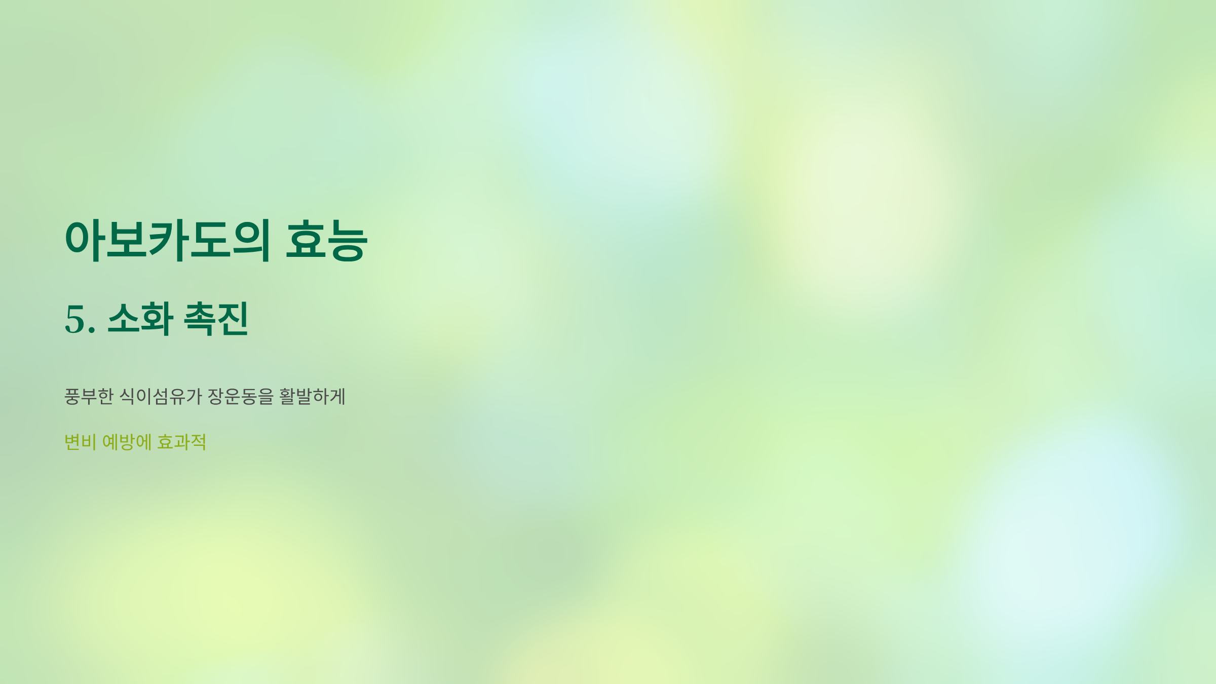 아보카도 사진입니다.