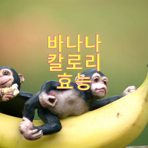 바나나 칼로리 효능