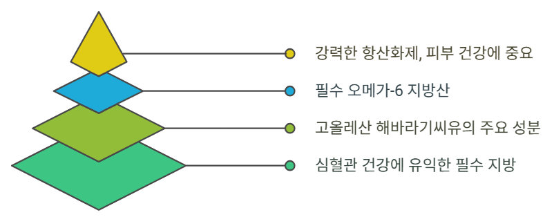 해바라기씨유 영양