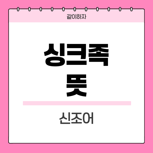 싱크족-뜻