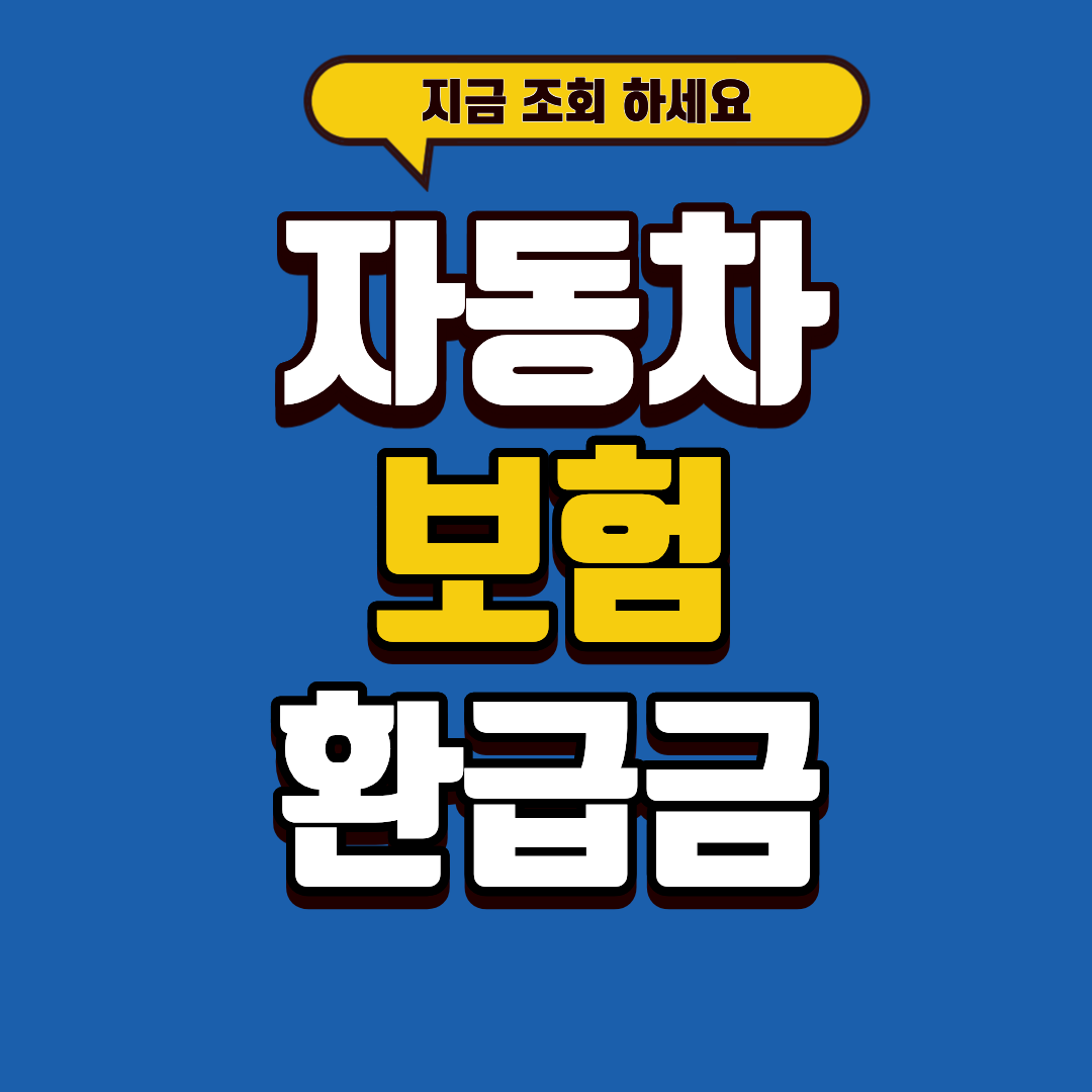 자동차보험 환급금 찾기, 조회만 하면 바로 나옵니다