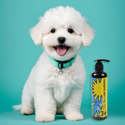 2026 대구 펫페어