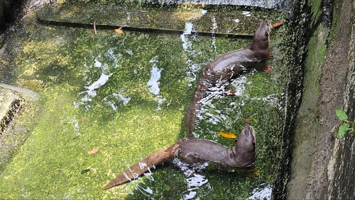 사이공동식물원6