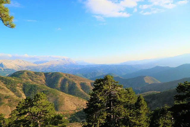 산재보상보험법