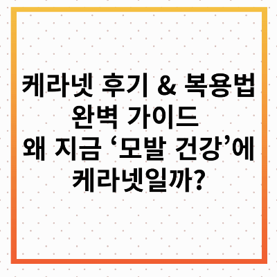 케라넷 후기 &amp; 복용법 완벽 가이드