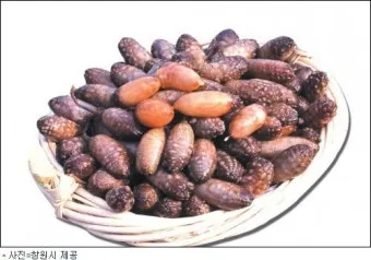 미더덕 찜국 미더덕회 미더덕철 오만둥이 레시피_10