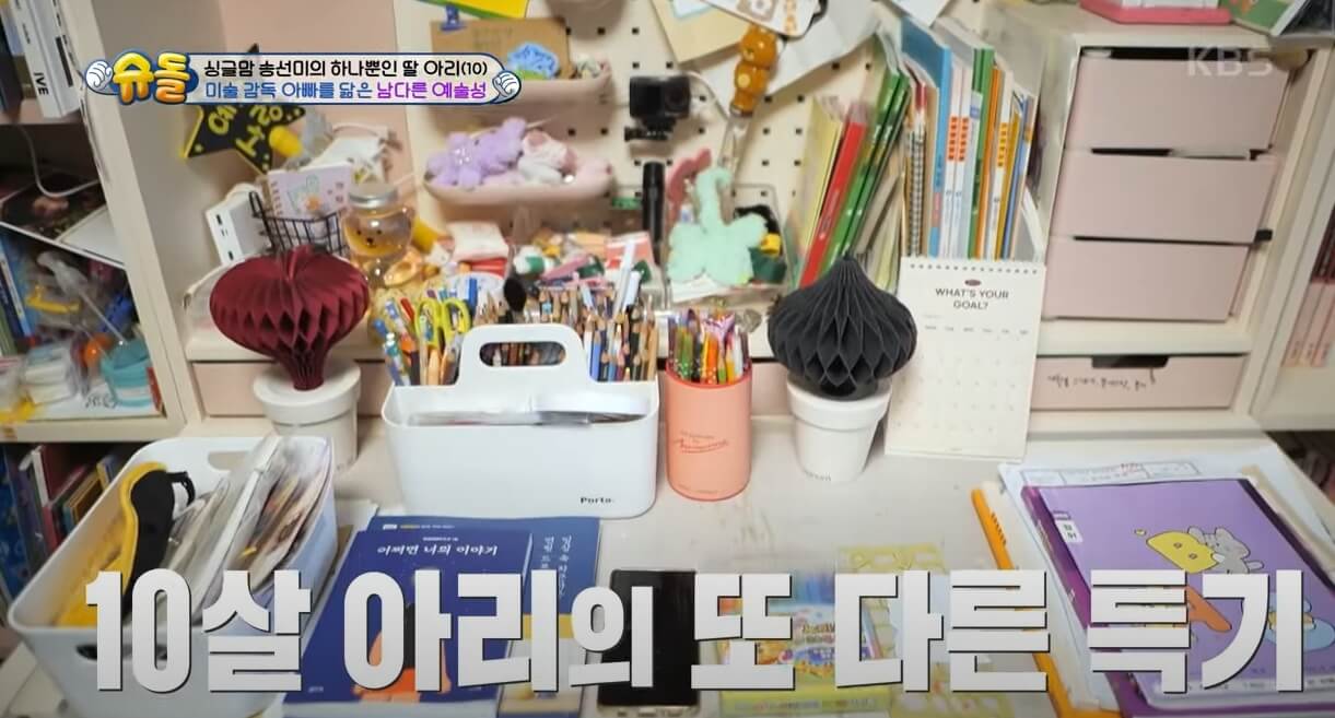 송선미 딸 아리 슈돌 출연