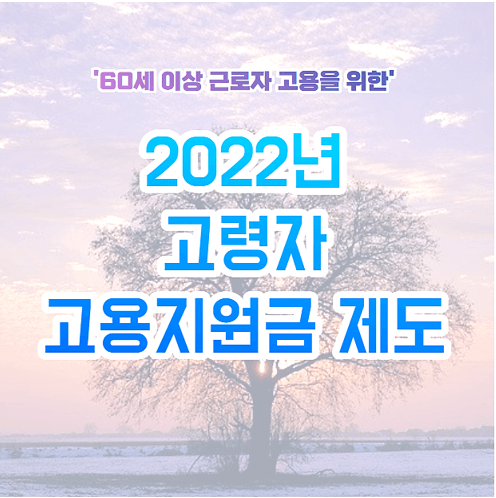 2022년-고령자-고용지원금-제도-썸네일