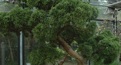 가을여행/가족여행지/추천/전북/대아수목원