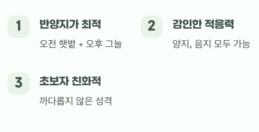 햇볕과 그늘 사이&amp;#44; 최고의 자리