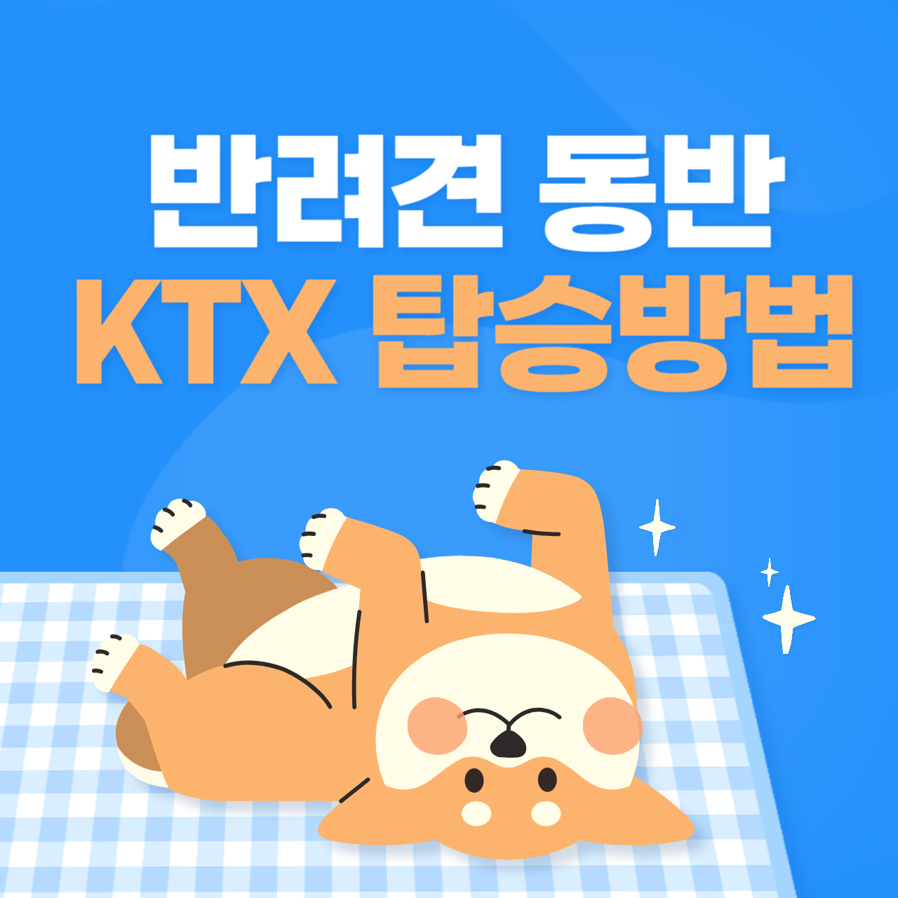 반려견 동반 KTX 탑승방법 알아보기