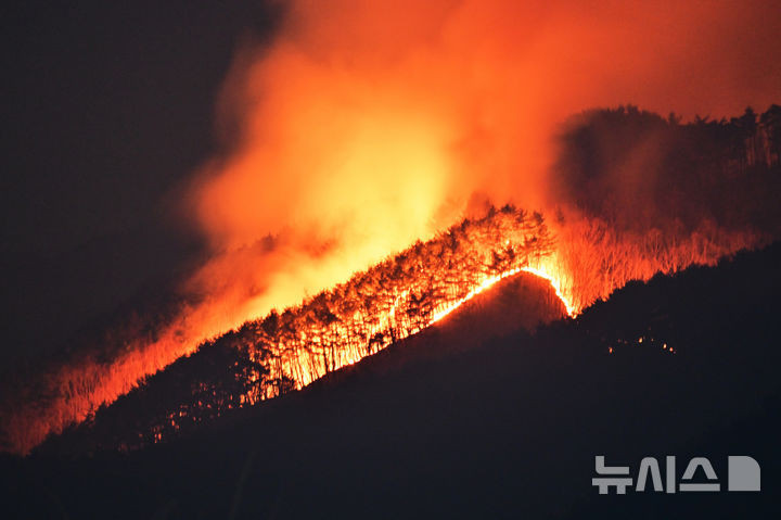산불 사진
