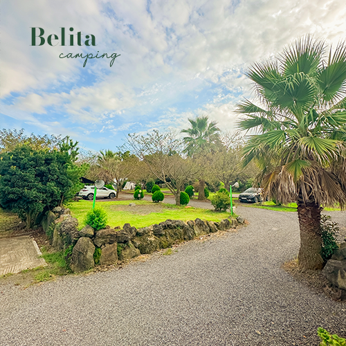 제주도 '벨리타 캠핑장' 미리보기