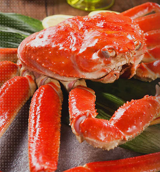 생방송 투데이 영덕 대게살 30년 역사 대호수산