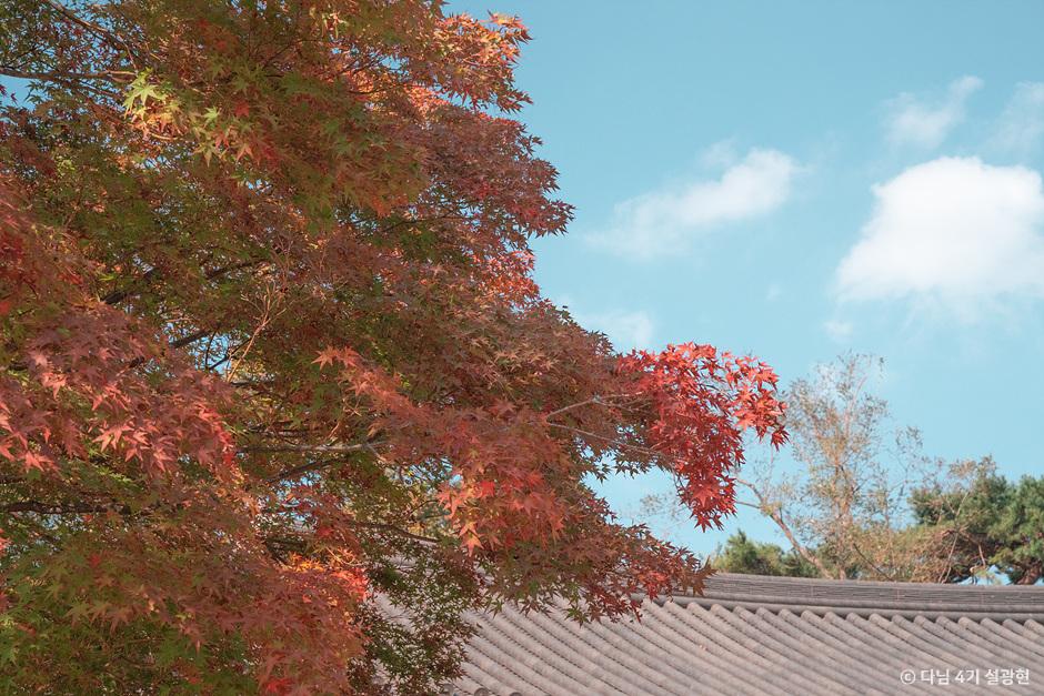 경주 불국사