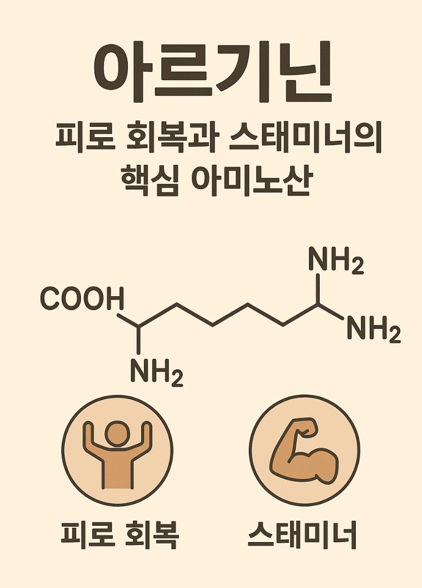 아르기닌