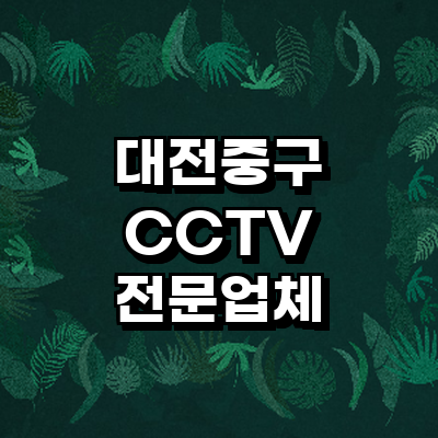 대전 중구 cctv
